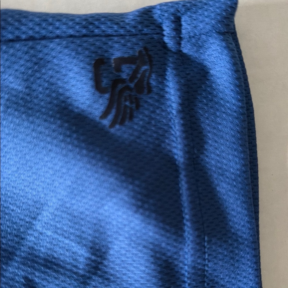 Blue Men's Athletic Mesh Shorts - Picture 5 of 9